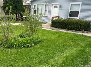 Justin L.'s grass cutting service result