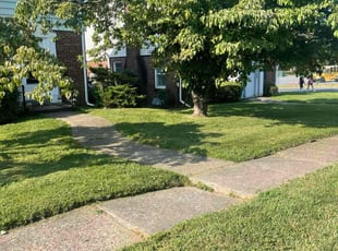 Jen S.'s grass maintenance service result