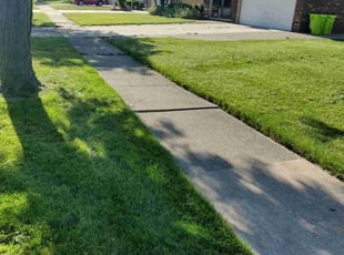 Elizabeth Y.'s grass maintenance service result