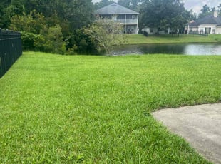 Susan K.'s lawn service service result