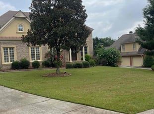 Martinique S.'s turf care service result