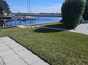 Albert D.'s lawn maintenance service result