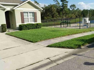 Dennis T.'s lawn care service result