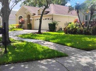 Teran A.'s lawn maintenance service result