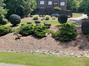 Randolph J.'s grass cutting service result