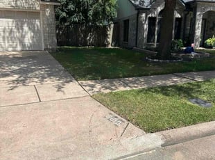 Terry M.'s turf care service result