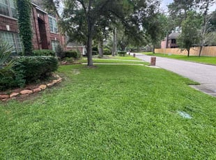 Zach A.'s lawn care service result