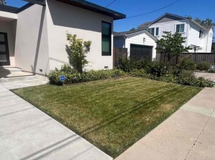 Mary J.'s lawn care service result