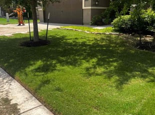 Vyonne C.'s turf care service result