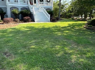 Donna B.'s grass maintenance service result