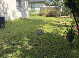 Mirelis O.'s lawn care services service result