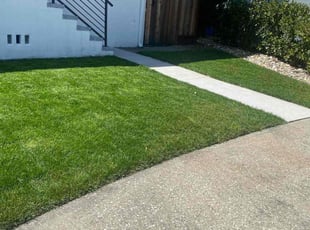Michelle C.'s turf care service result