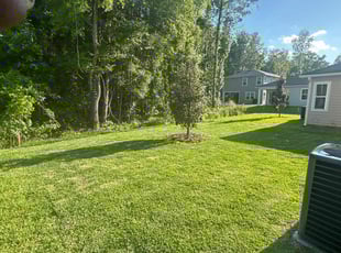 Dewayne G.'s lawn maintenance service result