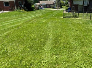 Charmaine A.'s turf maintenance service result