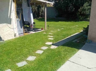 Janete B.'s grass maintenance service result