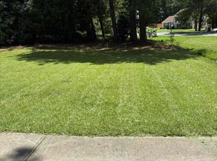 Dena C.'s turf care service result