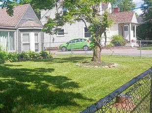Kenneth F.'s lawn care service result