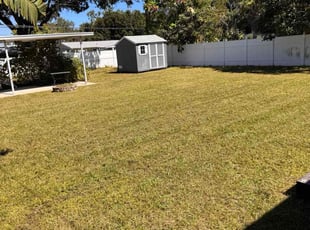 Yuvanca S.'s lawn service service result