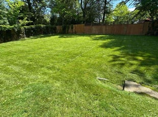 Michael B.'s landscaping services service result