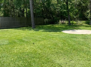 Donna E.'s lawn care service result