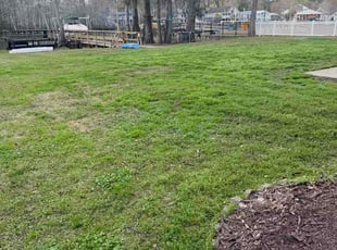 Zinda R.'s lawn care service result