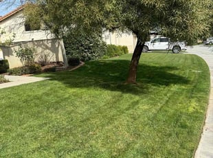 China Y.'s lawn care service result
