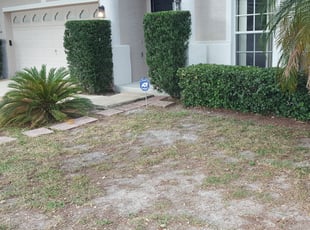 Ms. A.'s Bush Trimming service result