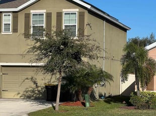 Armina F.'s yard work service result