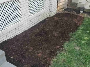 Ify K.'s Tree or Bush Removal service result