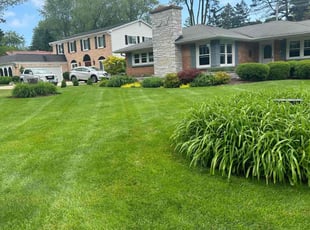 Richard B.'s grass maintenance service result