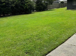 Jane W.'s lawn care services service result