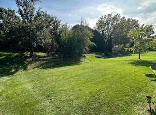 HASHIM K.'s turf care service result