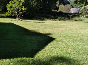 George N.'s grass cutting service result