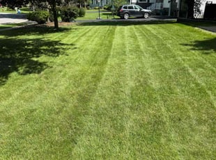 David S.'s lawn maintenance service result