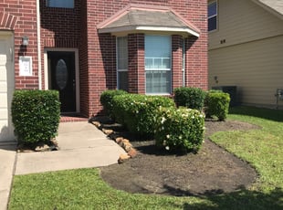 Rahni J.'s Bush Trimming service result