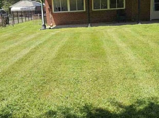 Greg R.'s grass maintenance service result