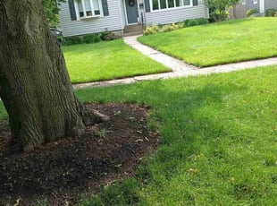 Rachel L.'s turf care service result