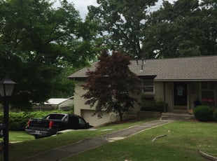 Helga G.'s Bush Trimming service result