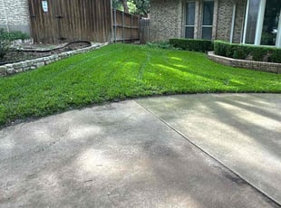 Pat S.'s turf maintenance service result