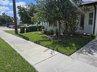 Zinaida K.'s lawn service service result