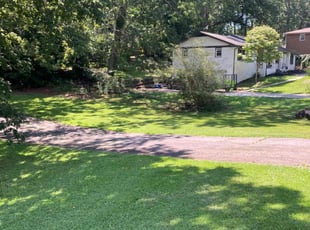 Zanib Z.'s lawn service service result
