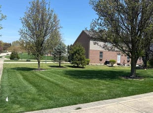 Todd b.'s lawn care service result