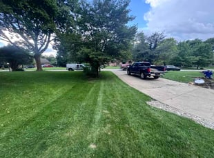 Shawn H.'s turf care service result