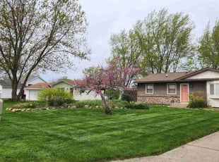 Monique C.'s turf care service result