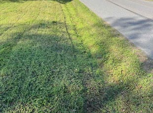 Mario C.'s lawn care services service result