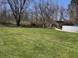 Phenola M.'s turf care service result