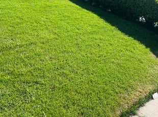 Jenny A.'s lawn care service result