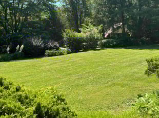 Jean P.'s lawn care services service result