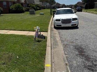 Linda G.'s lawn maintenance service result