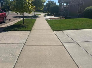 Ellen S.'s yard care service result